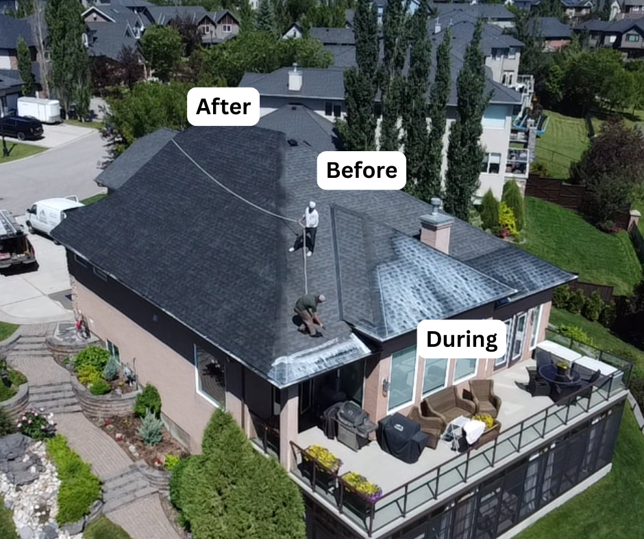 Before & after roof rejuvenation 1